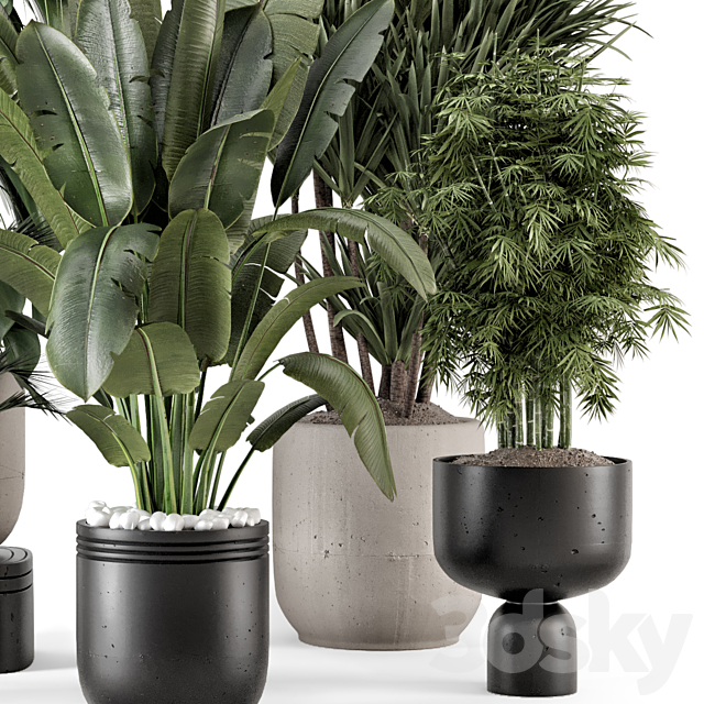 Indoor Plants in rusty Concrete Pot – Set 1331 3DS Max Model - thumbnail 5