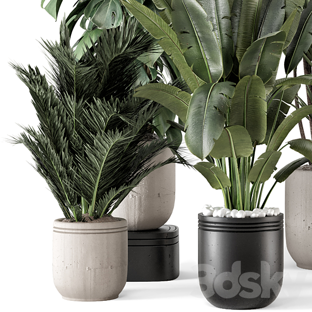 Indoor Plants in rusty Concrete Pot – Set 1331 3DS Max Model - thumbnail 6