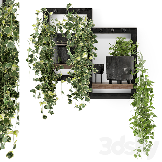 Indoor Plants in rusty Concrete Pot – Set 150 3DS Max Model - thumbnail 2