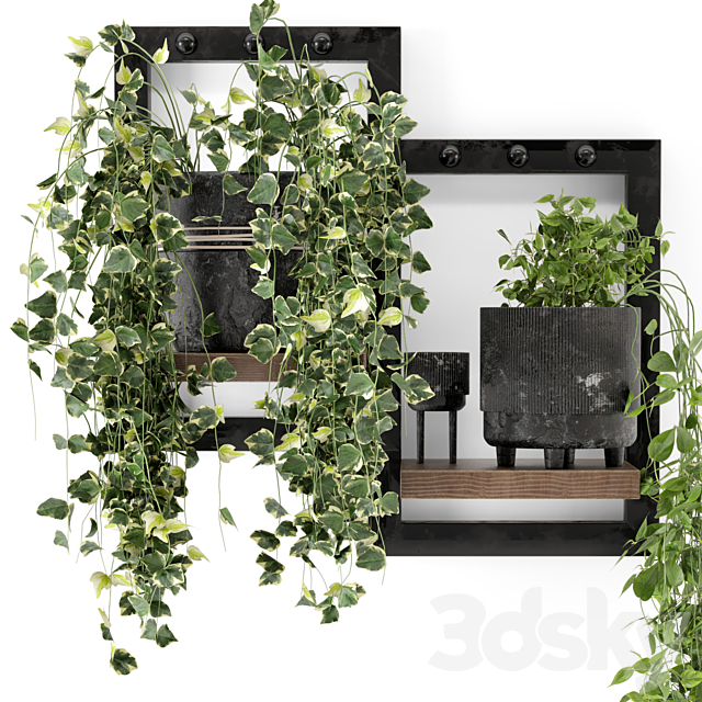 Indoor Plants in rusty Concrete Pot – Set 150 3DS Max Model - thumbnail 4