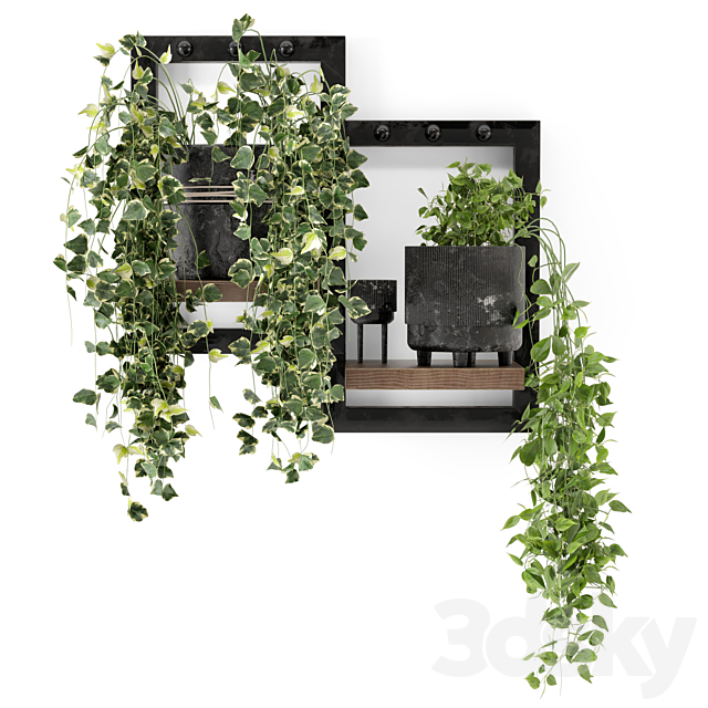 Indoor Plants in rusty Concrete Pot – Set 150 3DS Max Model - thumbnail 5