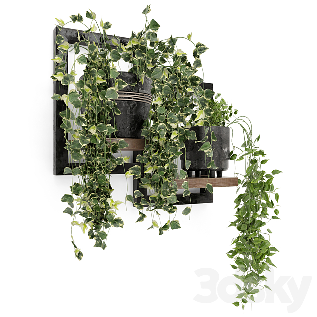 Indoor Plants in rusty Concrete Pot – Set 150 3DS Max Model - thumbnail 6