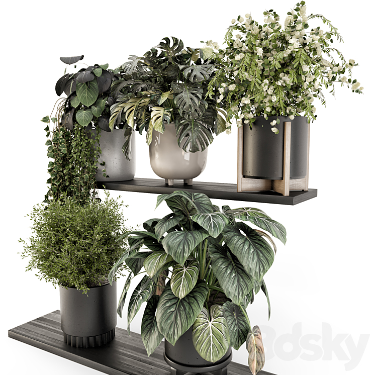 Indoor Plants in rusty Concrete Pot – Set 1512 3DS Max Model - thumbnail 2