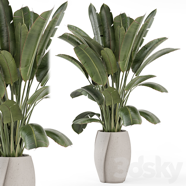 Indoor Plants in rusty Concrete Pot – Set 1612 3DS Max Model - thumbnail 2