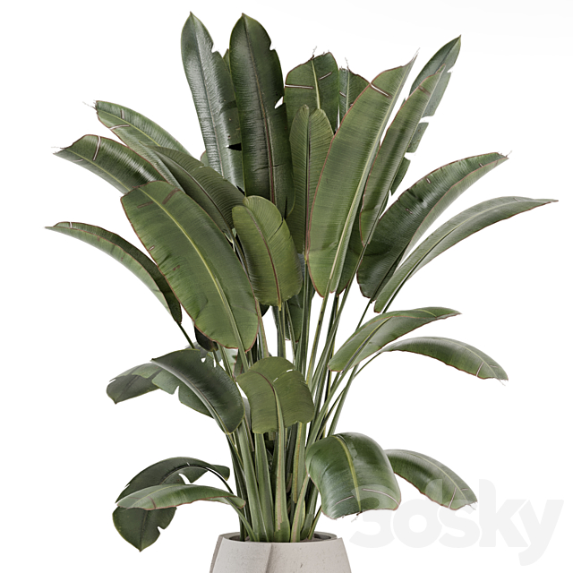 Indoor Plants in rusty Concrete Pot – Set 1612 3DS Max Model - thumbnail 3