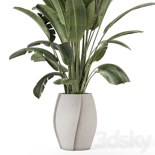 Indoor Plants in rusty Concrete Pot – Set 1612 3DS Max Model - thumbnail 4