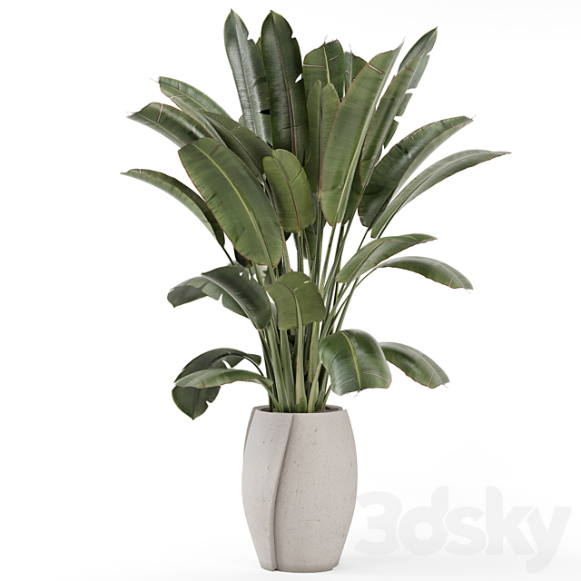 Indoor Plants in rusty Concrete Pot – Set 1612 3DS Max Model - thumbnail 5