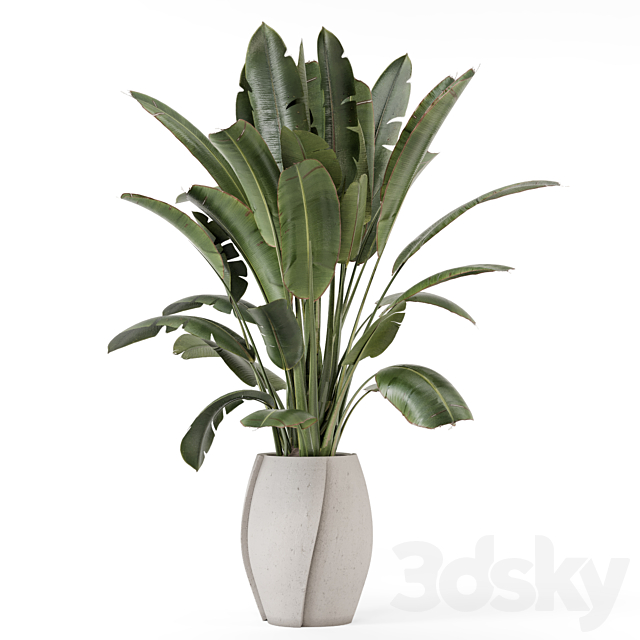 Indoor Plants in rusty Concrete Pot – Set 1612 3DS Max Model - thumbnail 6