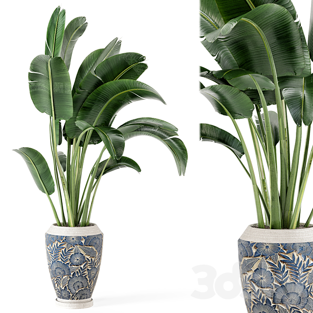 Indoor Plants in rusty Concrete Pot – Set 184 3DSMax File - thumbnail 2