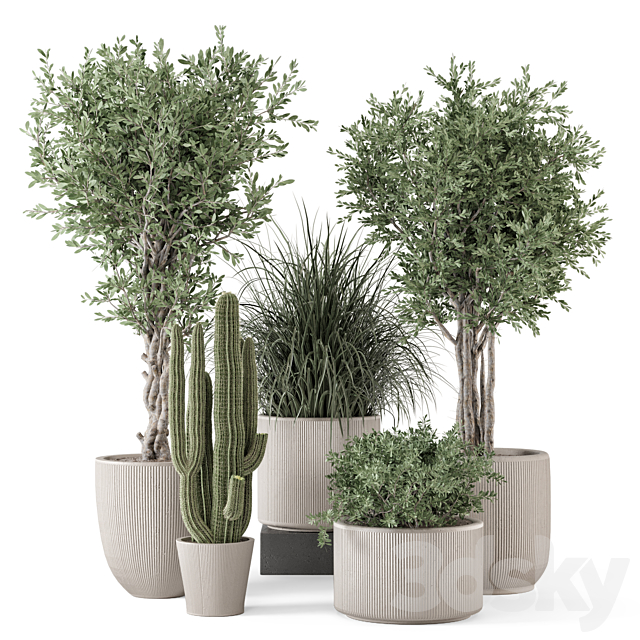 Indoor Plants in rusty Concrete Pot – Set 1911 3ds Max - thumbnail 1