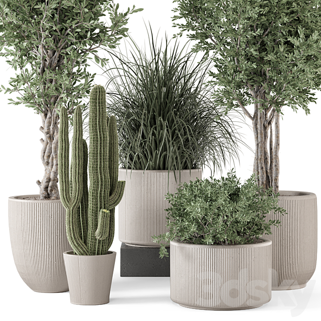 Indoor Plants in rusty Concrete Pot – Set 1911 3ds Max - thumbnail 2