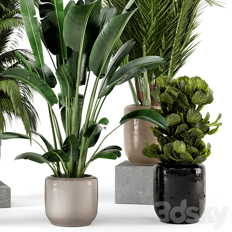 Indoor Plants in rusty Concrete Pot – Set 217 3DS Max - thumbnail 2