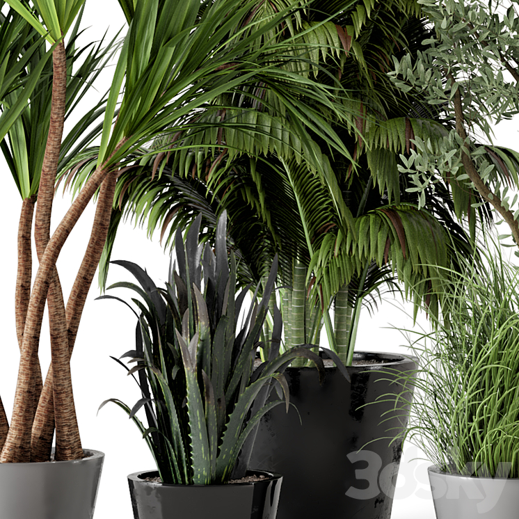 Indoor Plants in rusty Concrete Pot – Set 225 3DS Max - thumbnail 2