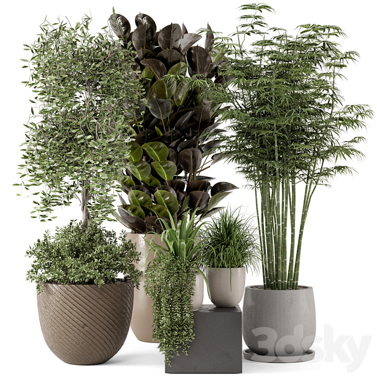 Indoor Plants in rusty Concrete Pot – Set 229 3DS Max Model - thumbnail 1