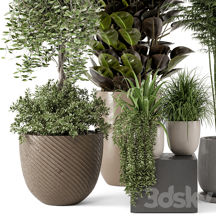 Indoor Plants in rusty Concrete Pot – Set 229 3DS Max Model - thumbnail 2