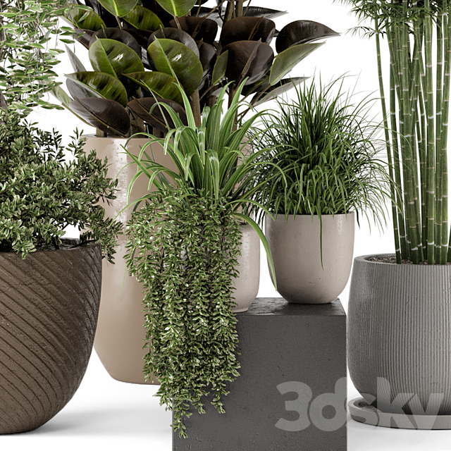 Indoor Plants in rusty Concrete Pot – Set 229 3DSMax File - thumbnail 3