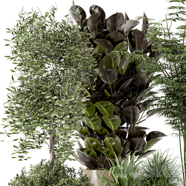 Indoor Plants in rusty Concrete Pot – Set 229 3DSMax File - thumbnail 4