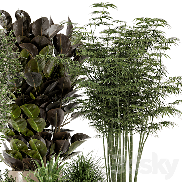 Indoor Plants in rusty Concrete Pot – Set 229 3DSMax File - thumbnail 5