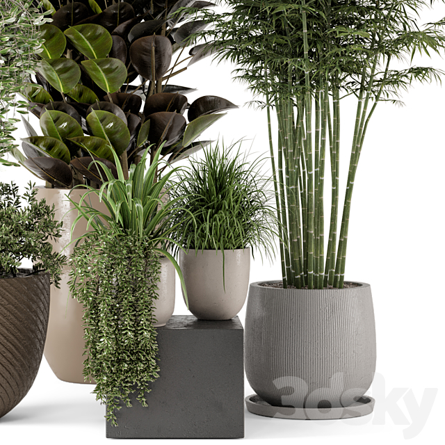 Indoor Plants in rusty Concrete Pot – Set 229 3DSMax File - thumbnail 6