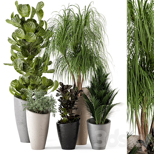 Indoor Plants in rusty Concrete Pot – Set 240 3ds Max - thumbnail 1