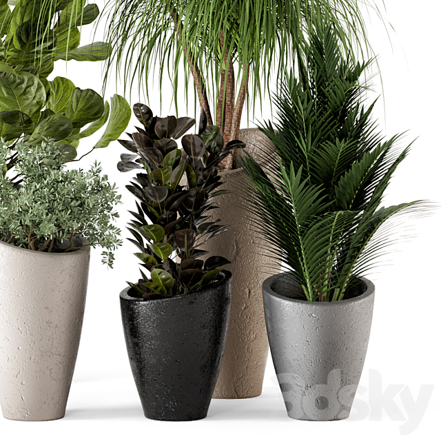 Indoor Plants in rusty Concrete Pot – Set 240 3ds Max - thumbnail 3