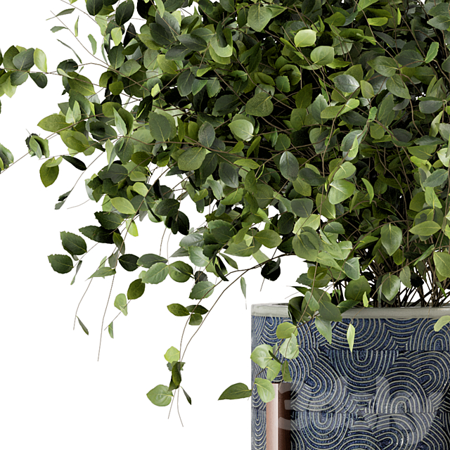 Indoor Plants in rusty Concrete Pot – Set 244 3DSMax File - thumbnail 5