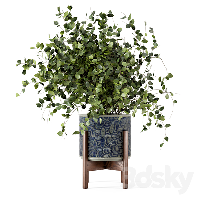 Indoor Plants in rusty Concrete Pot – Set 244 3DSMax File - thumbnail 6