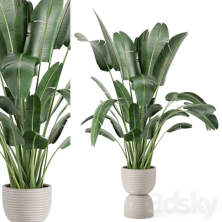 Indoor Plants in rusty Concrete Pot – Set 298 3DS Max - thumbnail 1