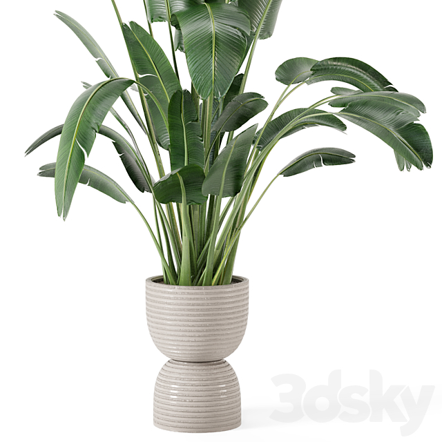 Indoor Plants in rusty Concrete Pot – Set 298 3DSMax File - thumbnail 3