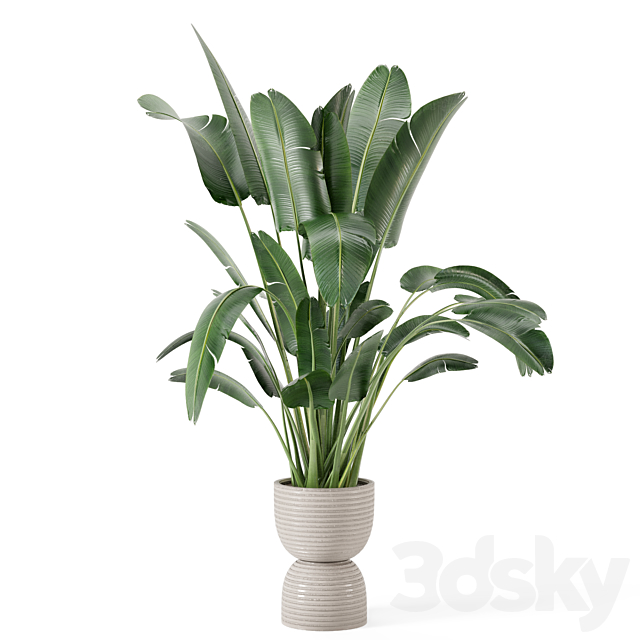 Indoor Plants in rusty Concrete Pot – Set 298 3DSMax File - thumbnail 5