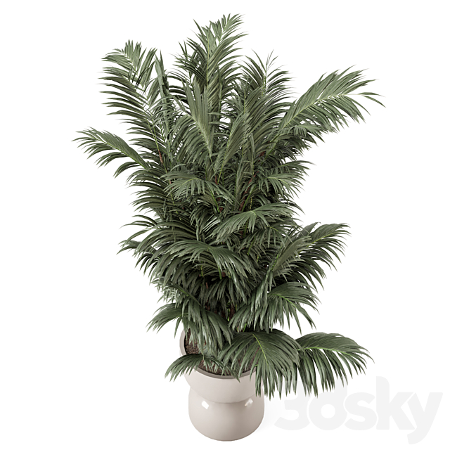 Indoor Plants in rusty Concrete Pot – Set 352 3DSMax File - thumbnail 2