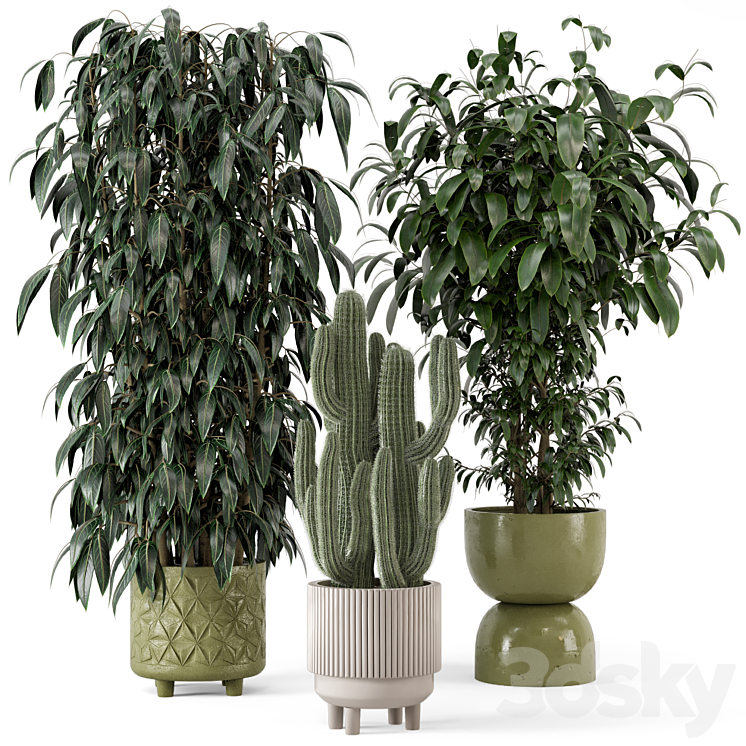 Indoor Plants in rusty Concrete Pot – Set 512 3DS Max - thumbnail 1