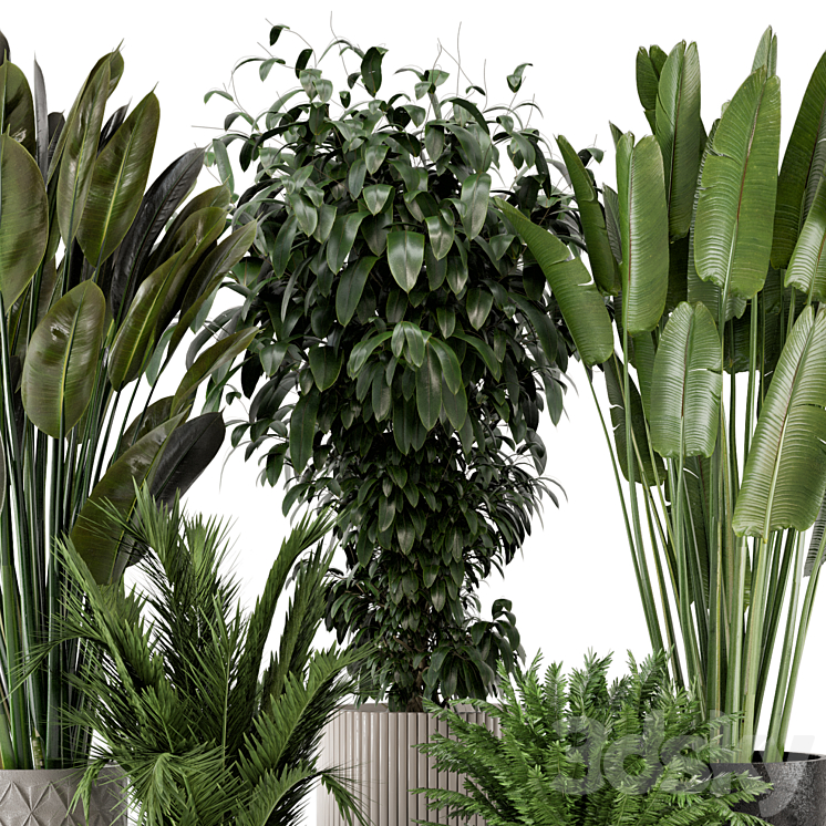 Indoor Plants in rusty Concrete Pot – Set 542 3DS Max - thumbnail 2