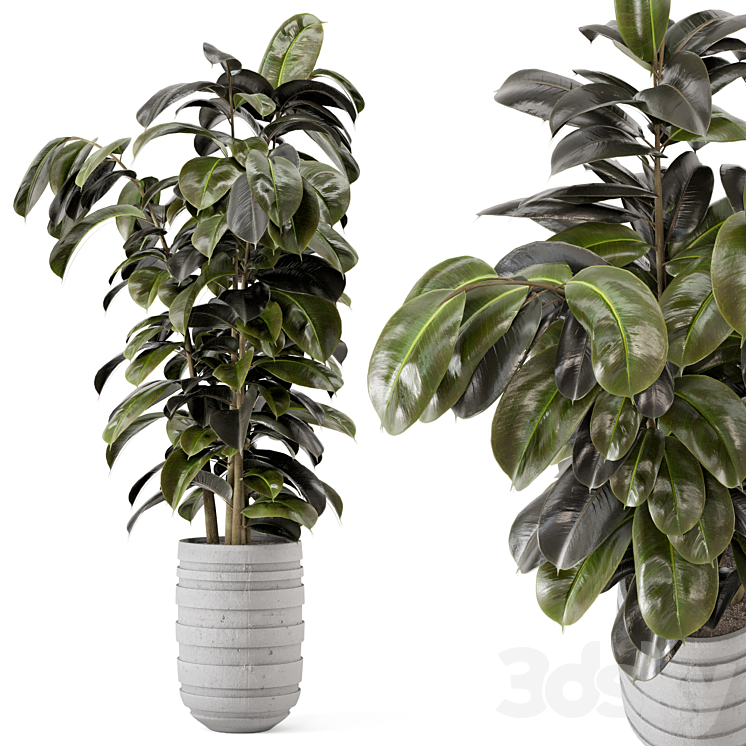 Indoor Plants in rusty Concrete Pot – Set 549 3DS Max Model - thumbnail 1