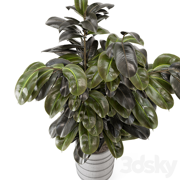 Indoor Plants in rusty Concrete Pot – Set 549 3DS Max Model - thumbnail 2