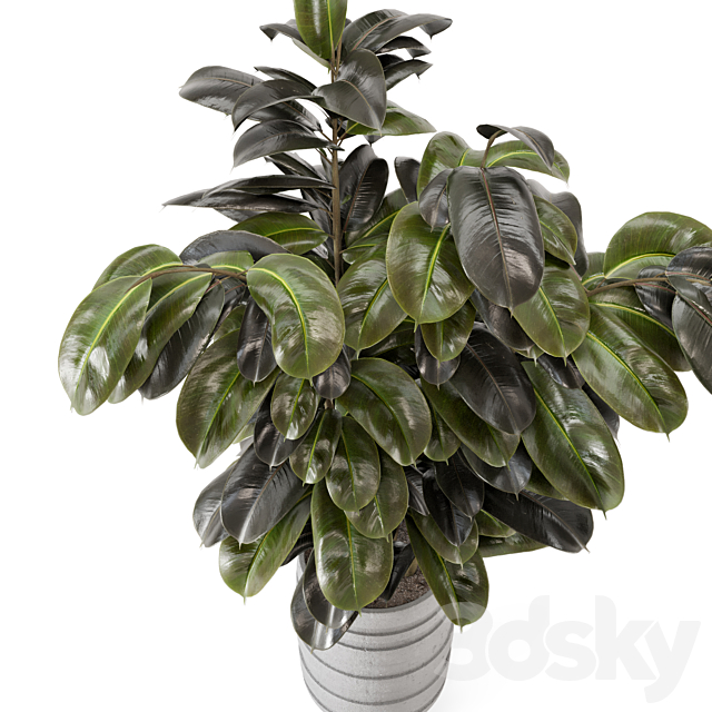 Indoor Plants in rusty Concrete Pot – Set 549 3DSMax File - thumbnail 2