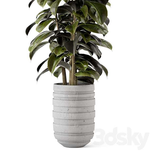 Indoor Plants in rusty Concrete Pot – Set 549 3DSMax File - thumbnail 5