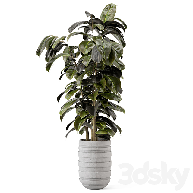 Indoor Plants in rusty Concrete Pot – Set 549 3DSMax File - thumbnail 6