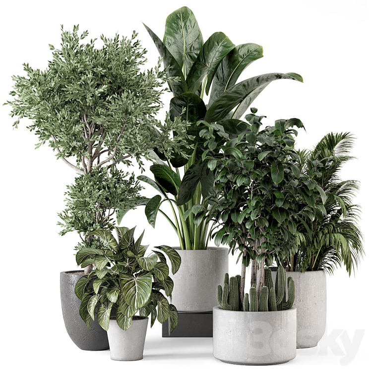 Indoor Plants in rusty Concrete Pot – Set 584 3DS Max - thumbnail 1