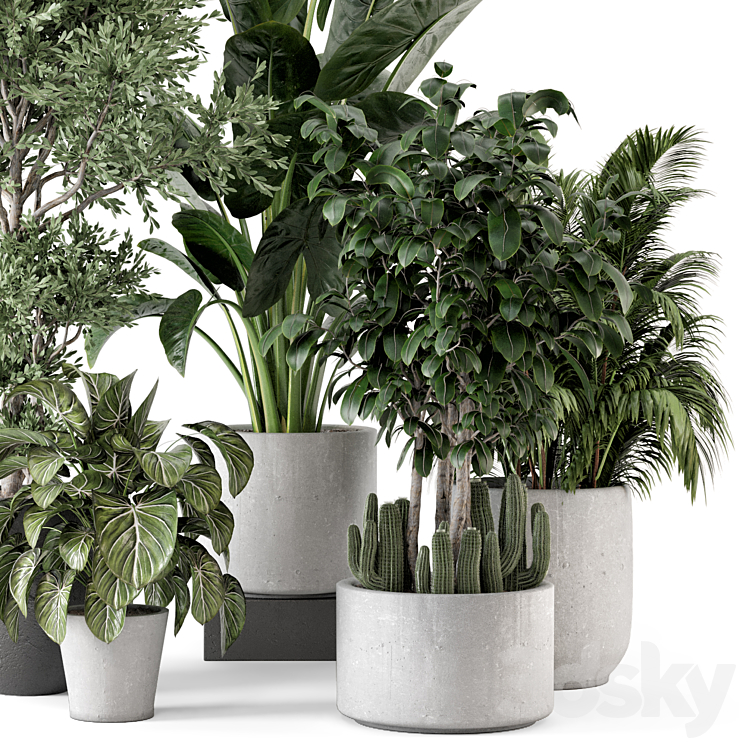 Indoor Plants in rusty Concrete Pot – Set 584 3DS Max - thumbnail 2