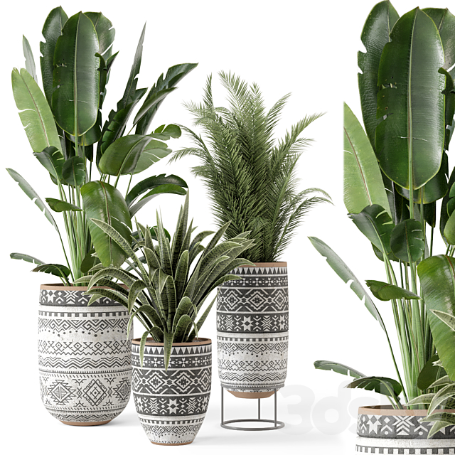 Indoor Plants in rusty Concrete Pot – Set 628 3DSMax File - thumbnail 1