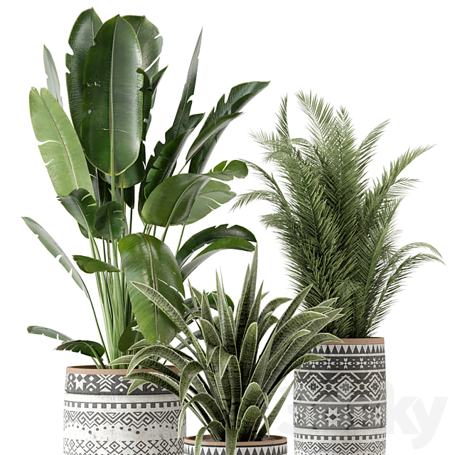 Indoor Plants in rusty Concrete Pot – Set 628 3DSMax File - thumbnail 2