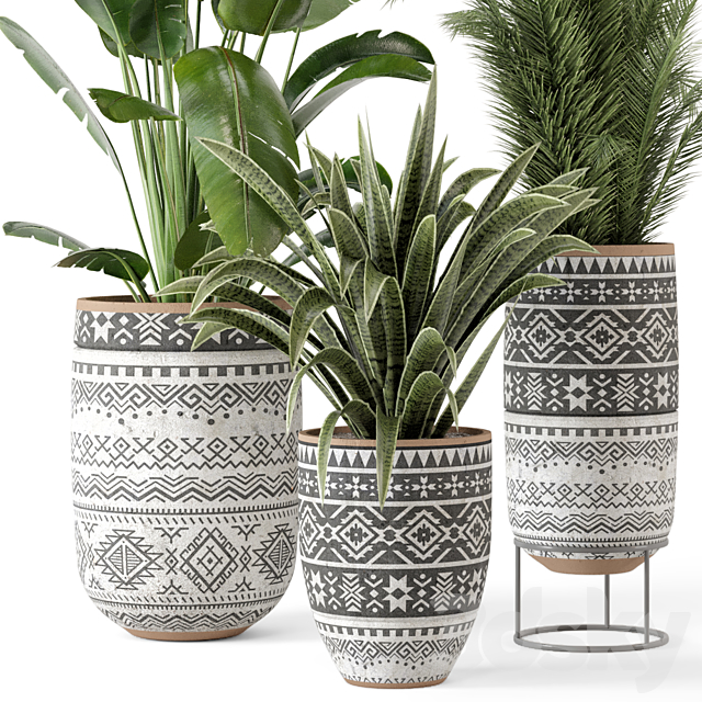 Indoor Plants in rusty Concrete Pot – Set 628 3DSMax File - thumbnail 3