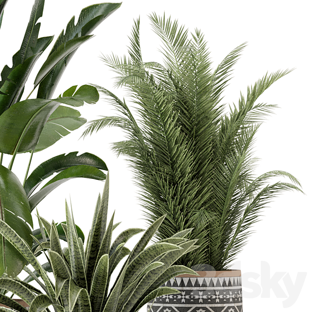 Indoor Plants in rusty Concrete Pot – Set 628 3DSMax File - thumbnail 5