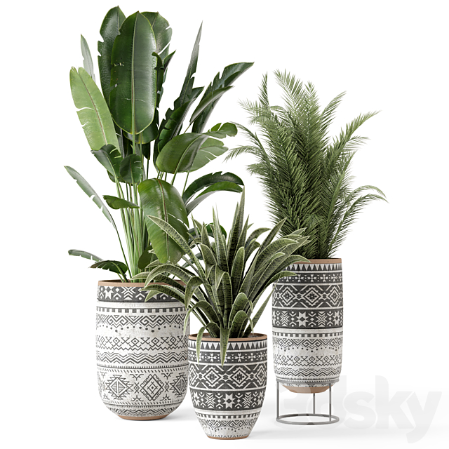 Indoor Plants in rusty Concrete Pot – Set 628 3DSMax File - thumbnail 6