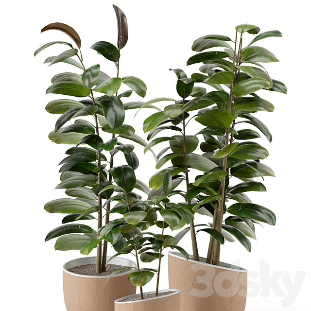 Indoor Plants in rusty Concrete Pot – Set 692 3DSMax File - thumbnail 5