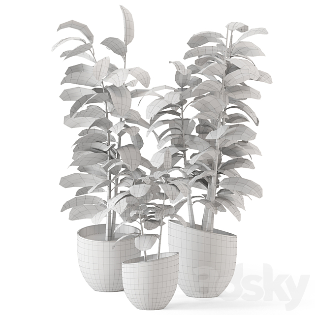 Indoor Plants in rusty Concrete Pot – Set 692 3DSMax File - thumbnail 7