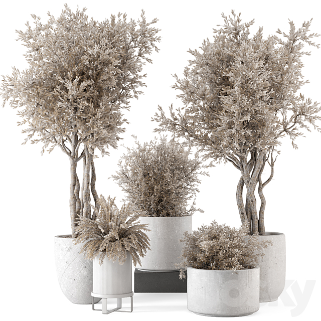 Indoor Plants in rusty Concrete Pot – Set 809 3ds Max - thumbnail 1