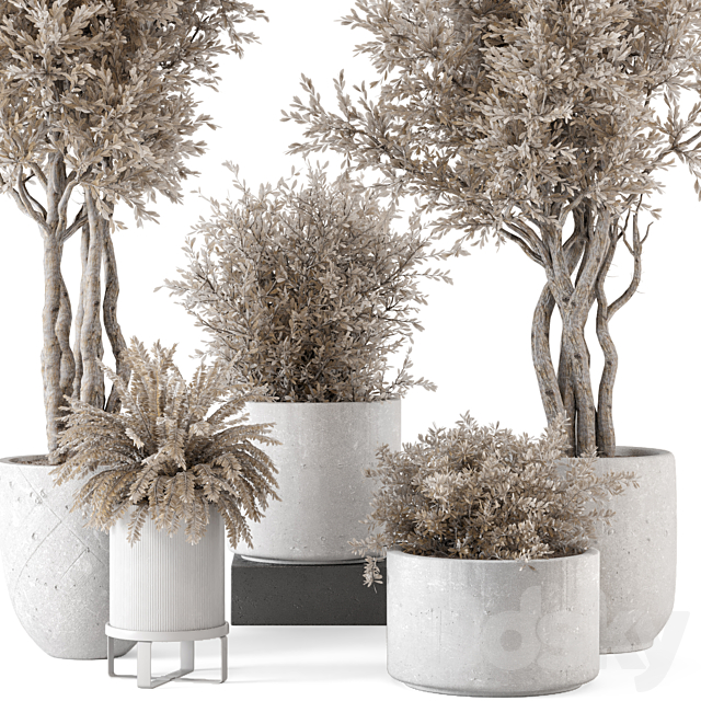 Indoor Plants in rusty Concrete Pot – Set 809 3ds Max - thumbnail 2