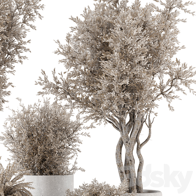 Indoor Plants in rusty Concrete Pot – Set 809 3ds Max - thumbnail 3